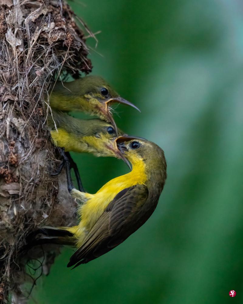 立方风控鸟·早报（2月28日）