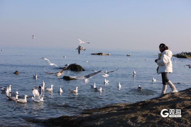 立方风控鸟·早报（2月28日）
