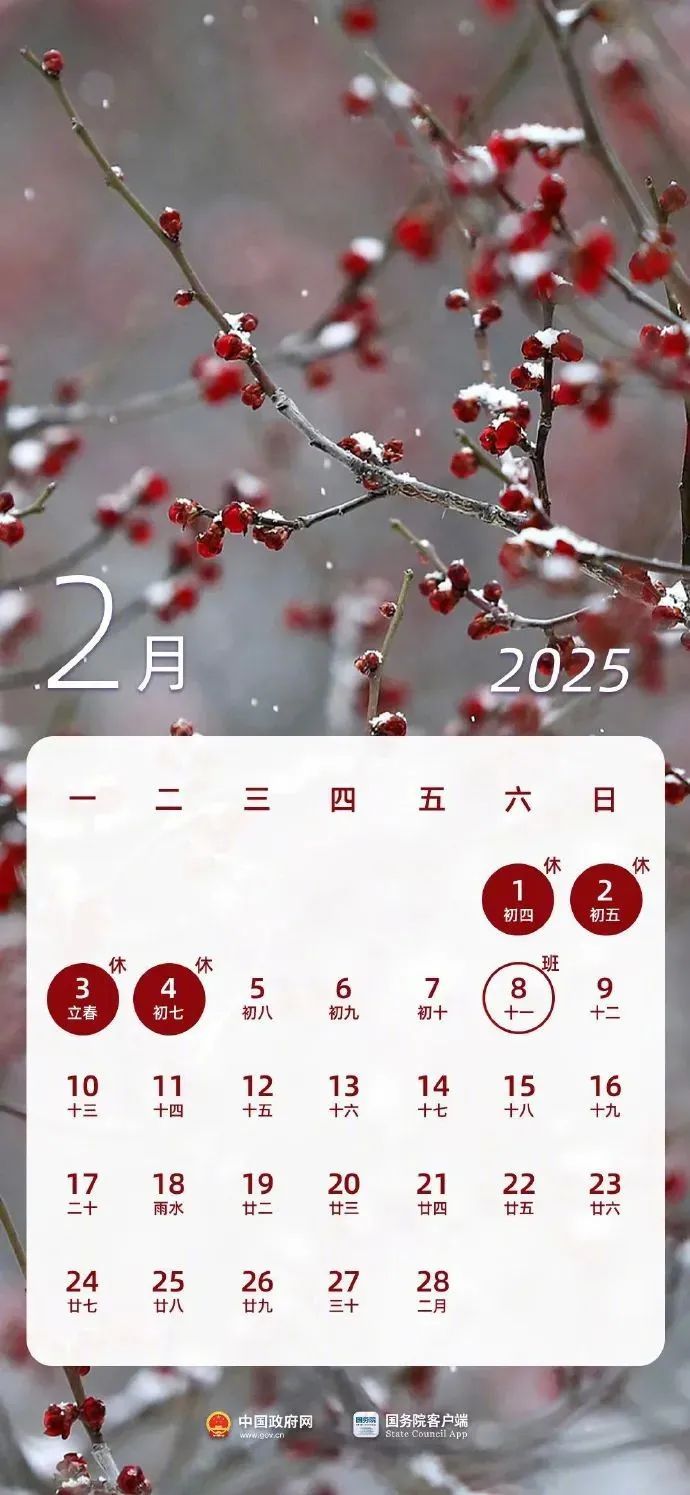 2025年3月4日最新泉州低合金板卷价格行情走势查询