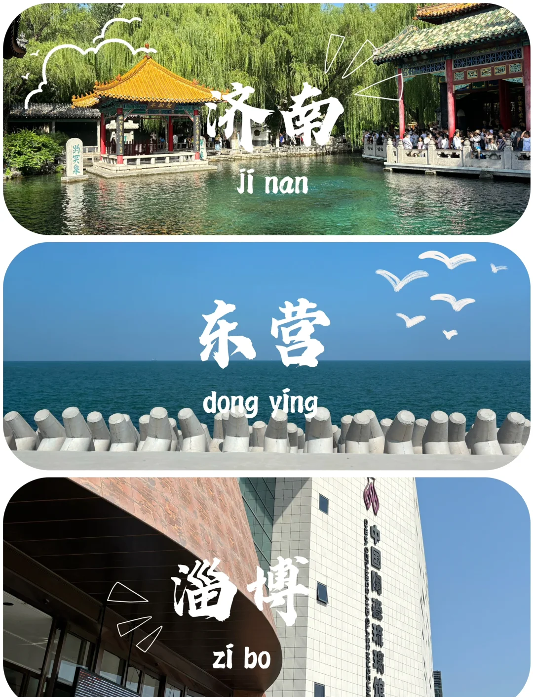 2025年3月5日今日东营盘螺最新价格查询