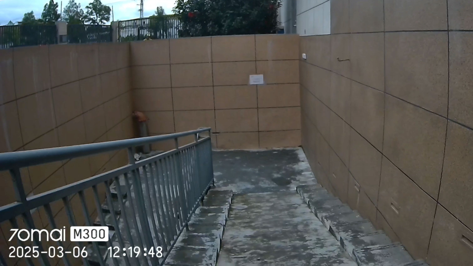 2025年3月6日今日温州盘螺价格最新行情消息