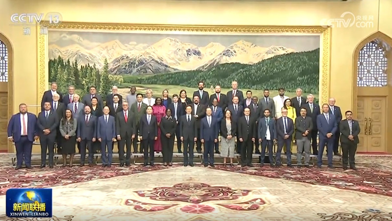 王毅集体会见日中友好团体代表