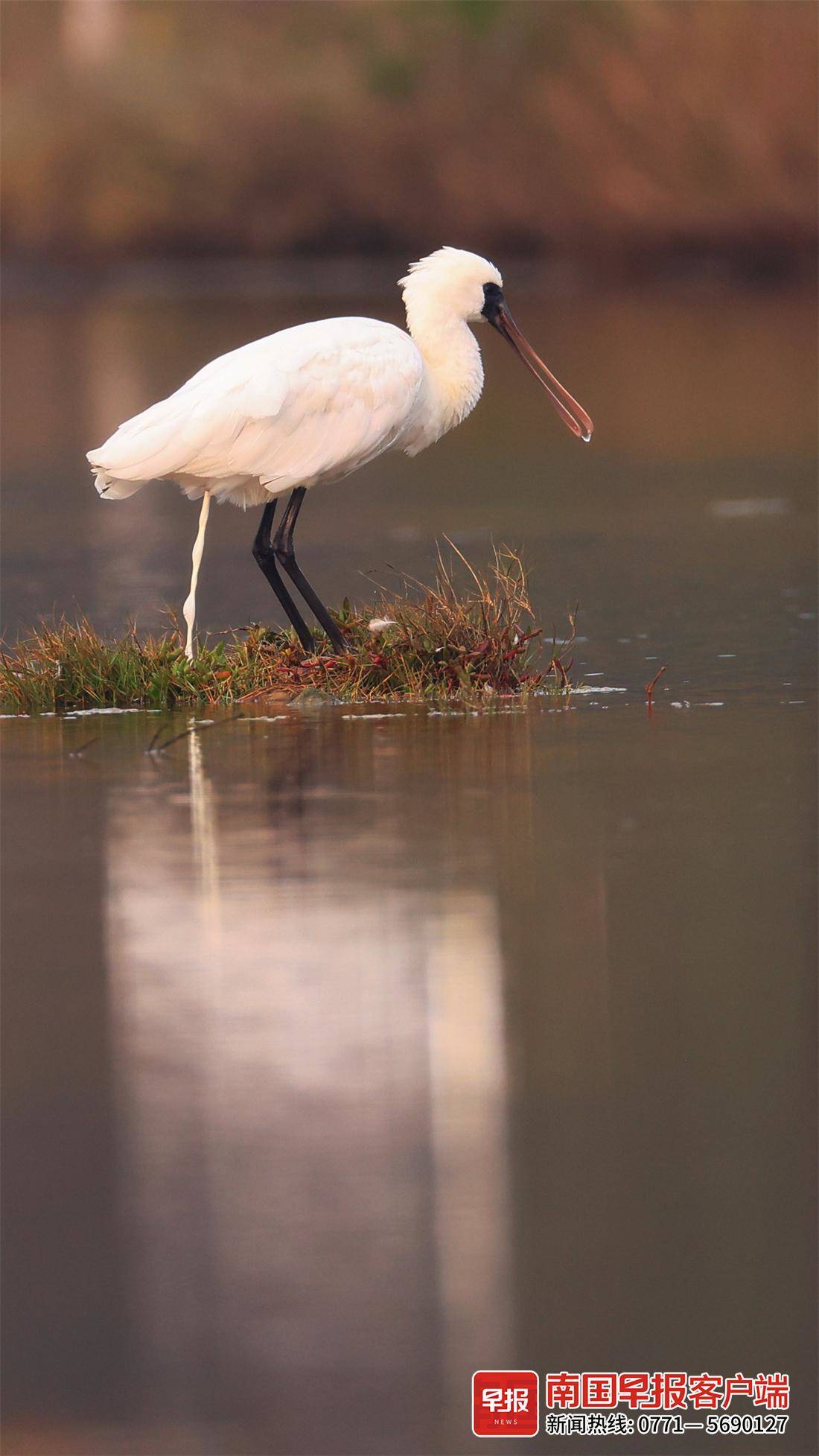 立方风控鸟·早报（3月24日）