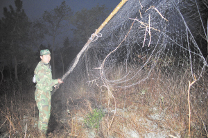立方风控鸟·早报(3月26日)