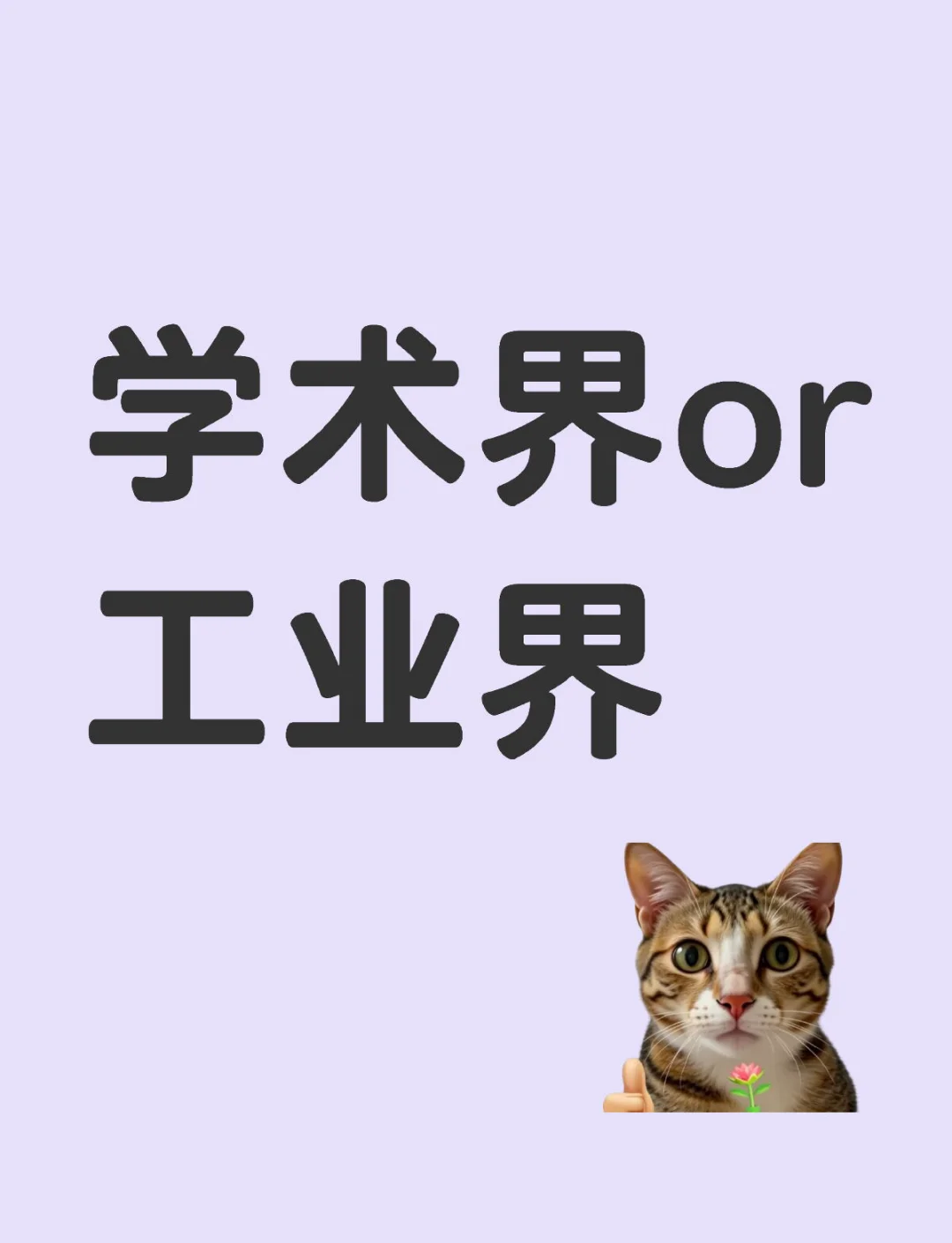 美国学术界，突变！