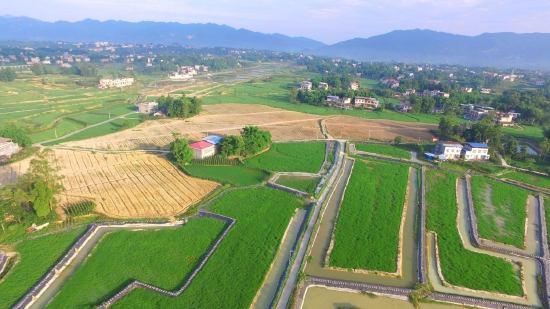 中办、国办：允许安排地方政府债券支持符合条件的高标准农田建设