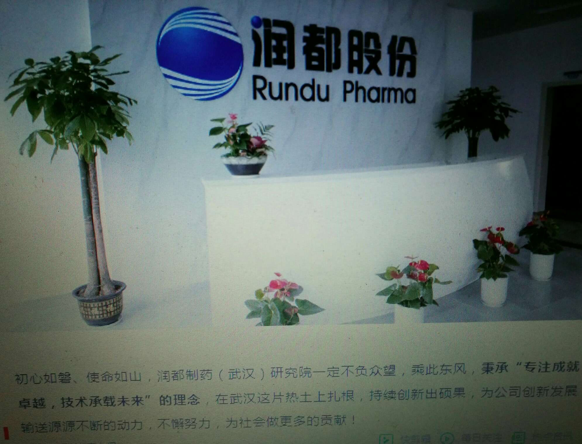 润都股份录得6天3板