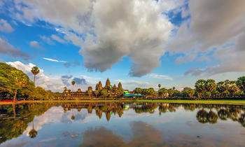 天元宠物：拟约1亿元投建柬埔寨生产基地项目