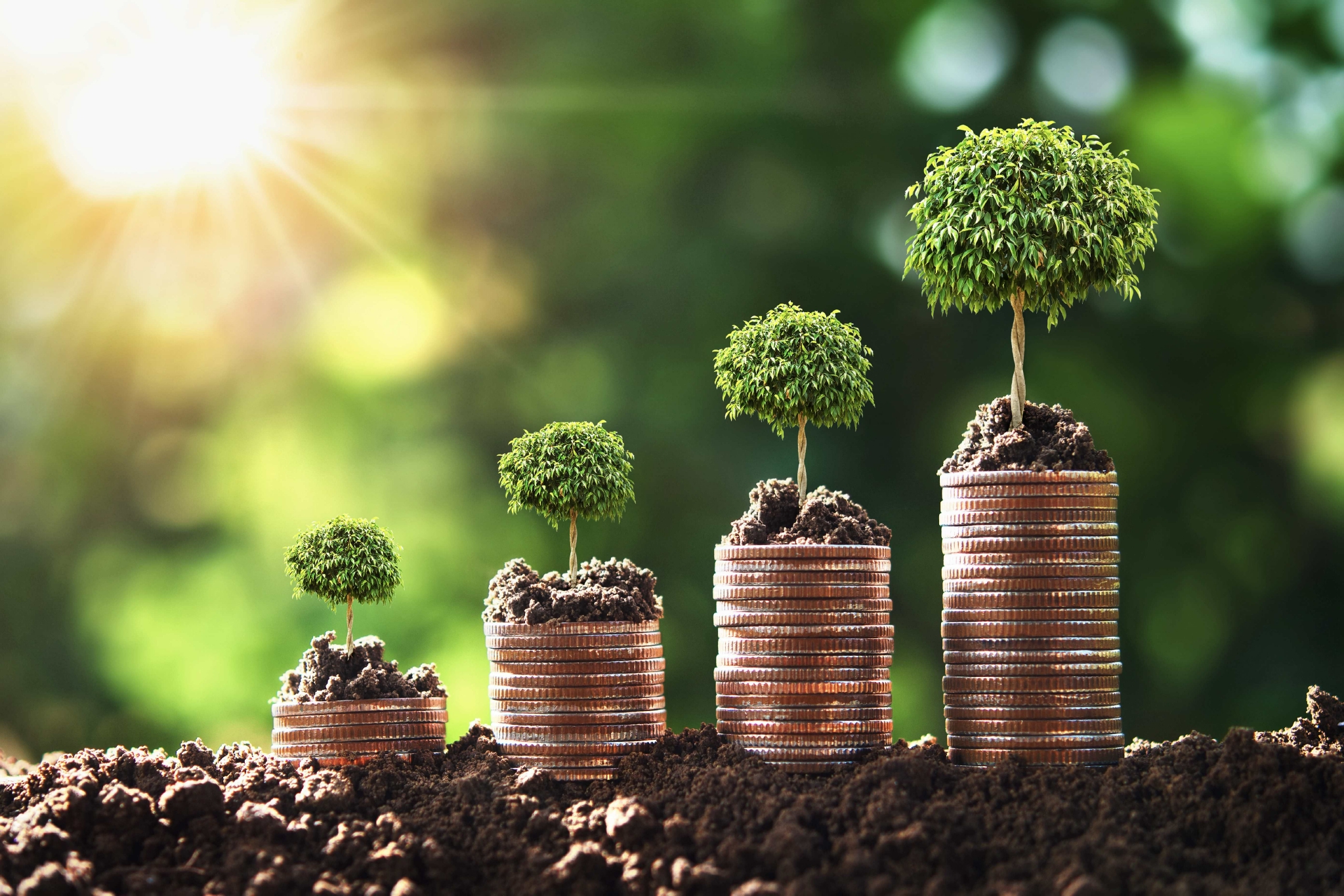 【新华解读】首笔人民币绿色主权债券获追捧 国际绿色金融合作开启新篇章