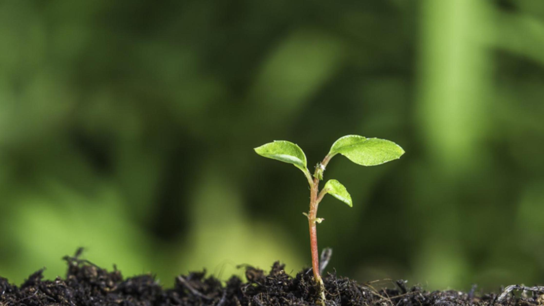 首笔人民币绿色主权债券成功发行 国际投资者认购踊跃