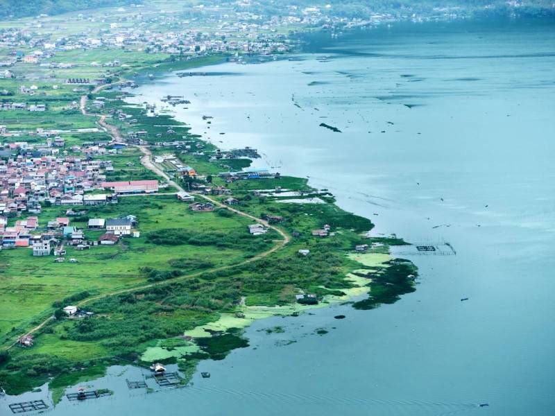 跨越两万公里履进博之约，携手巴西共享开放新机遇