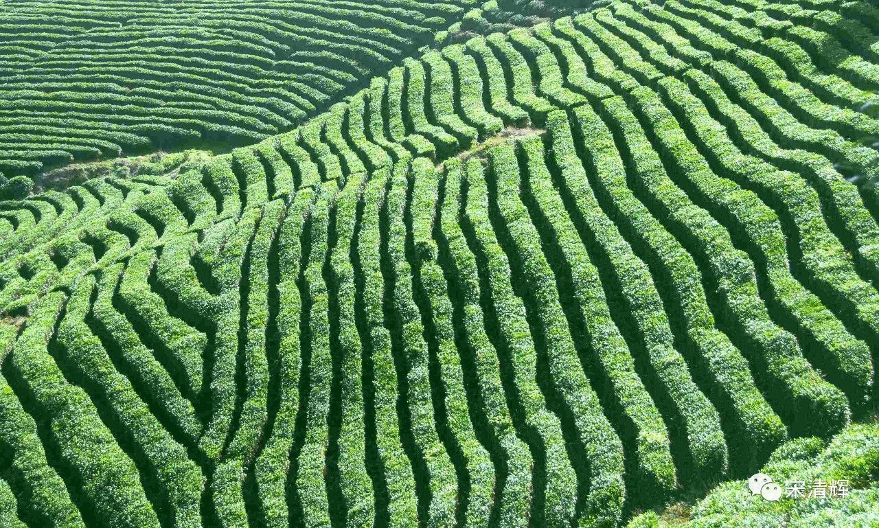 绿色金融债密集发行 今年发行规模已超1600亿元