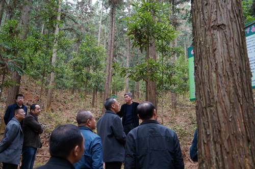 农发行发行首只支持国家储备林建设主题绿色债券