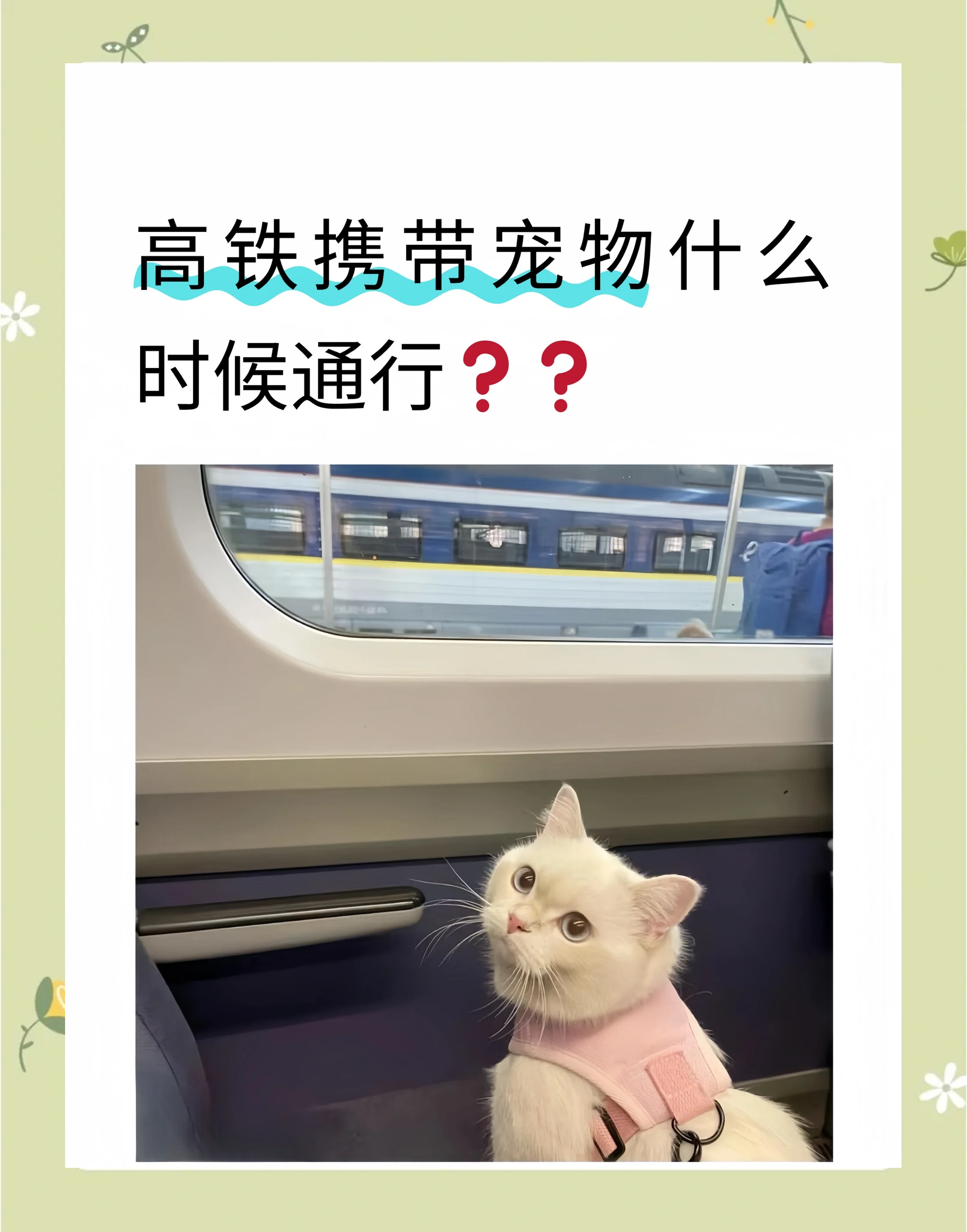 高铁宠物托运：“智能监测+运输箱”打造萌宠专属舱