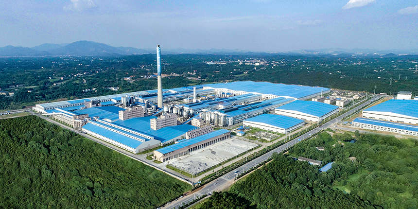 旗滨集团2024年度拟派1.2亿元红包