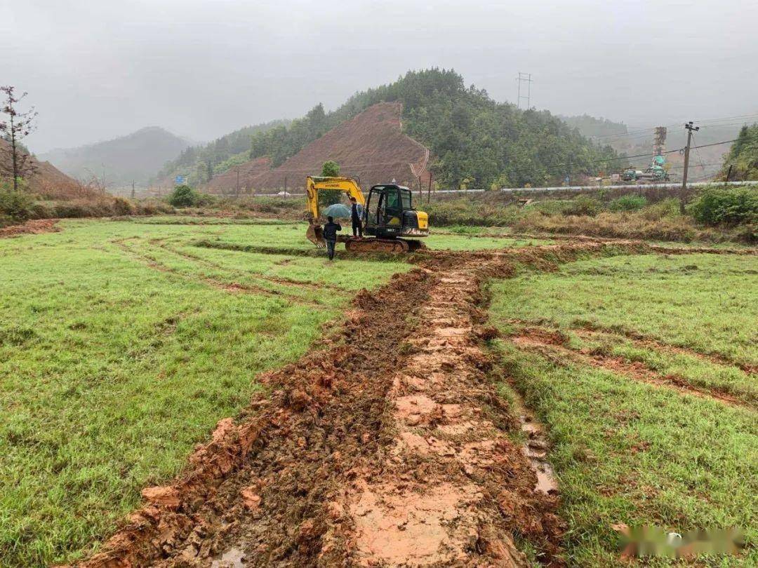 化肥进口延迟影响尼东南部农民