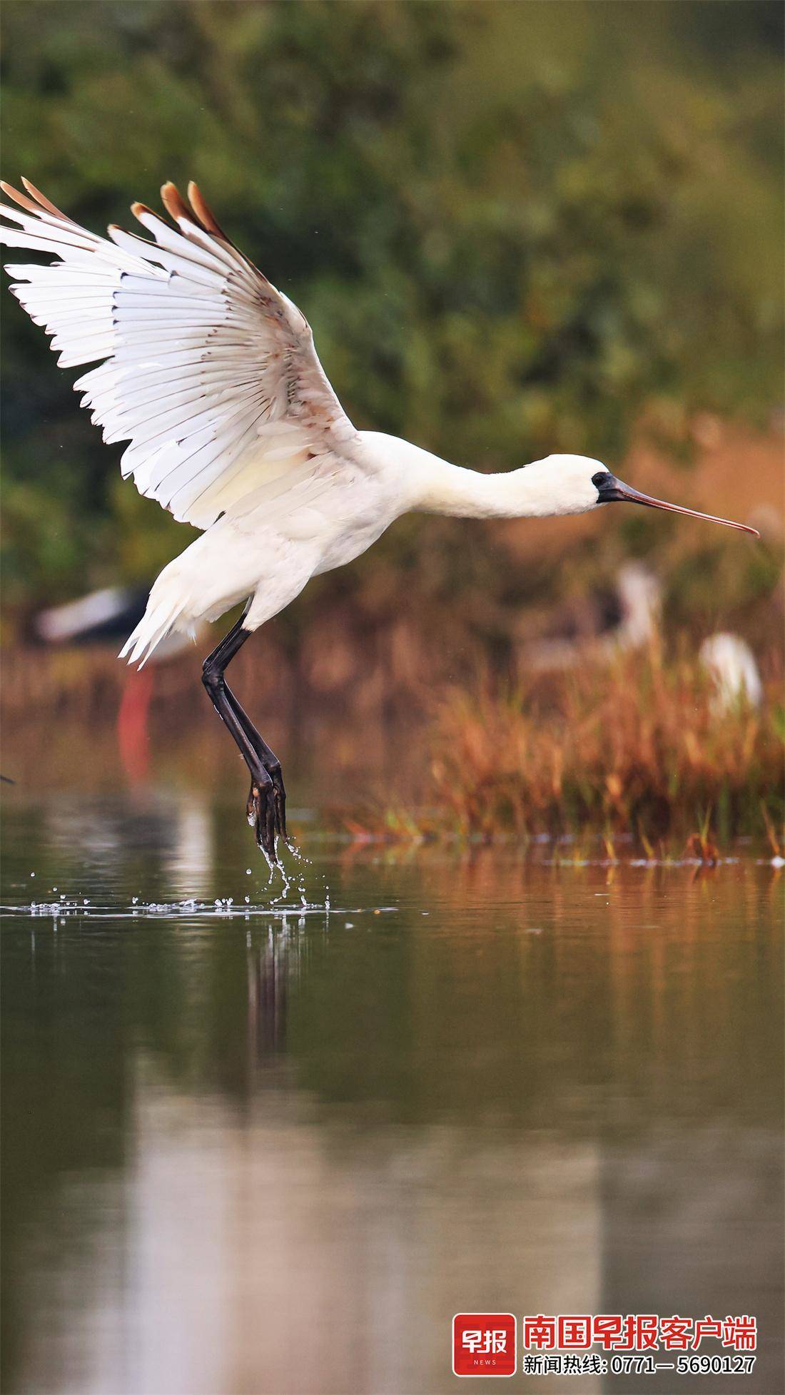 立方风控鸟·早报（5月10日）