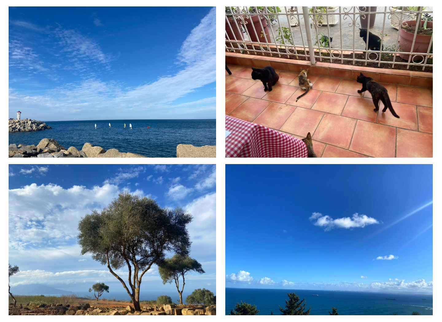 阿尔及利亚新闻网站Algérie Presse Service编译版:阿尔及利亚央行行长呼吁国际货币基金组织捍卫多边主义以应对国际贸易紧张局势