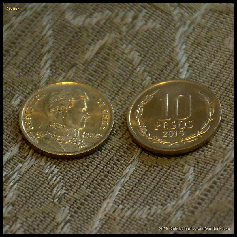 智利政府与经济学者警惕贸易战引发的全面援助提案