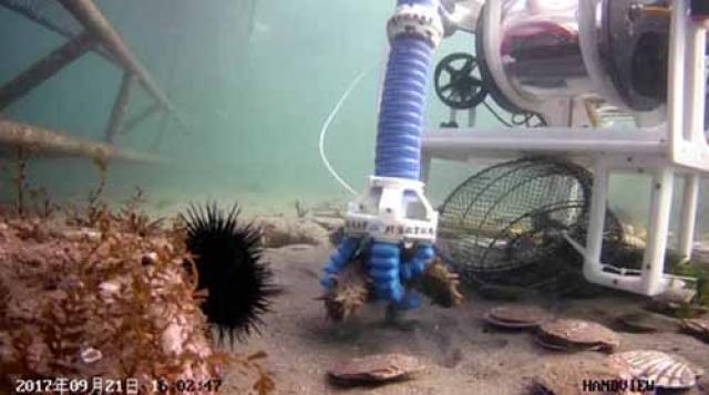 冯杰:水下AI算法平台推动水下探测智能化发展