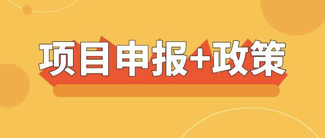 尼国家计委严格审查入库项目