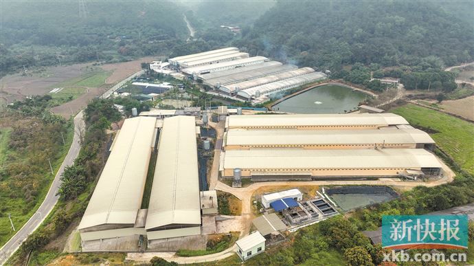 温氏股份实际控制人调整