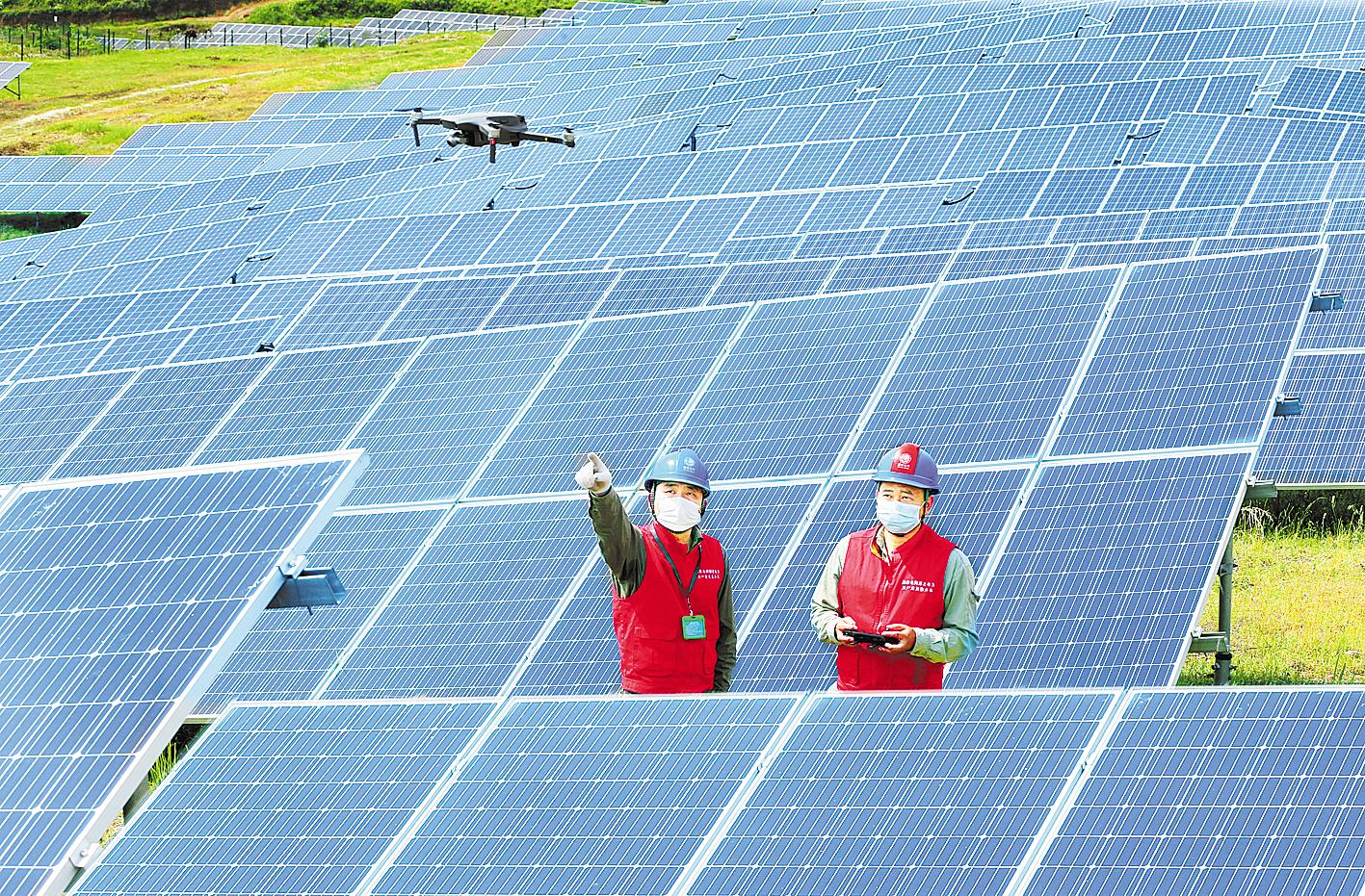 浙江绍兴：“机器狗”上岗助力迎峰度夏