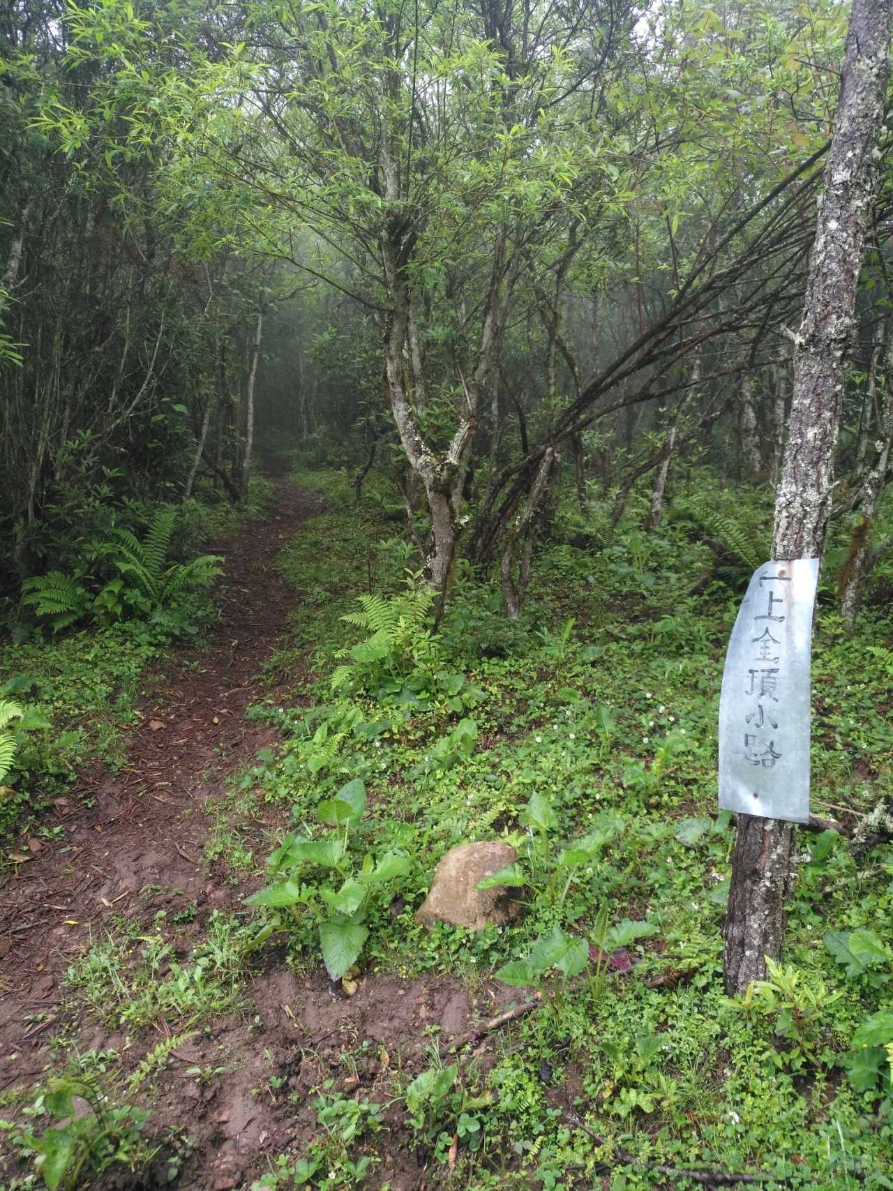 尼媒称马囊地区徒步路线遭新修公路污染
