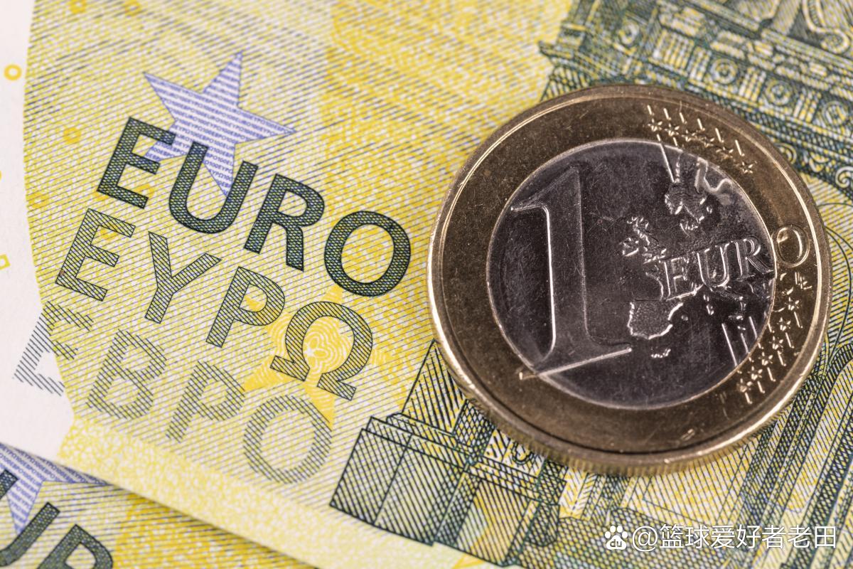 欧洲央行高级官员称，现在是加强欧元在全球作用的有利时机