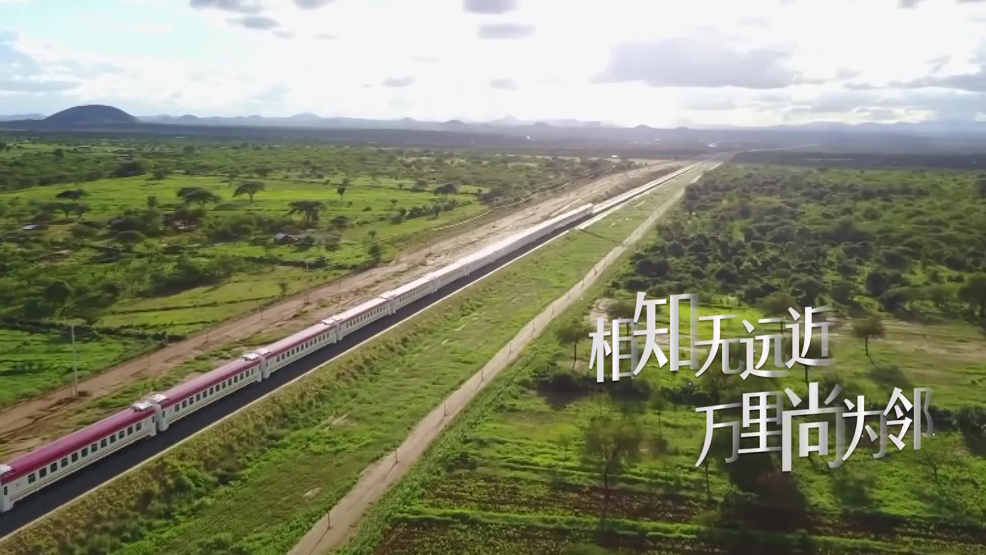 中非绿色合作播种非洲“绿色长城”的未来――访毛里塔尼亚环境部长拉格达夫