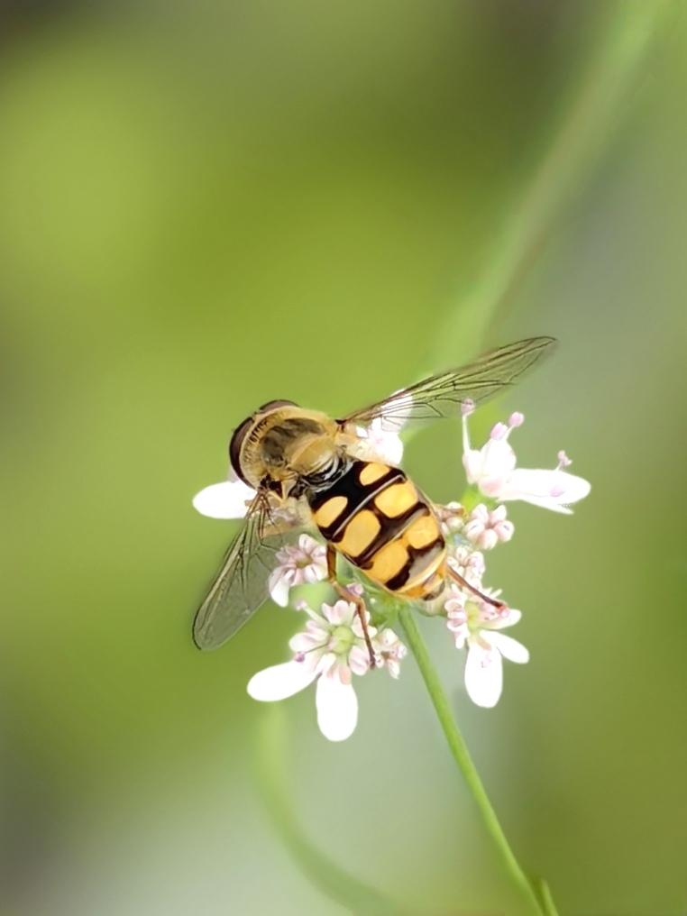 5月份全国发行新增债券4919亿元