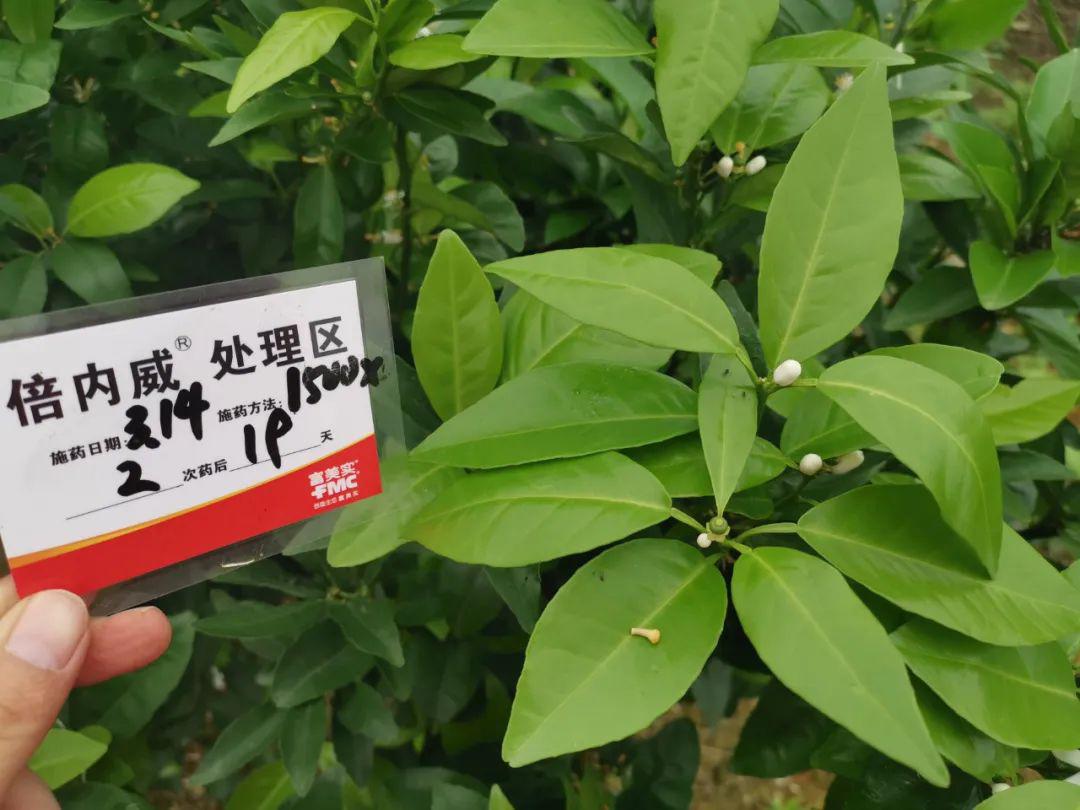 兴瑞科技与绿色云图达成战略合作 聚焦液冷服务器生产及研发领域