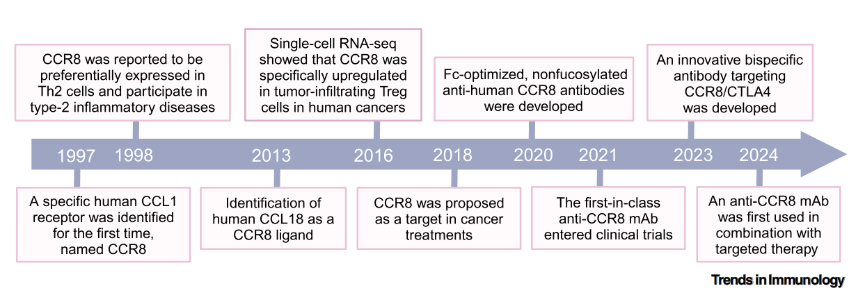 诺奖释放Treg细胞疗法潜力 和铂医药持续推进CTLA-4及CCR8抗体研发