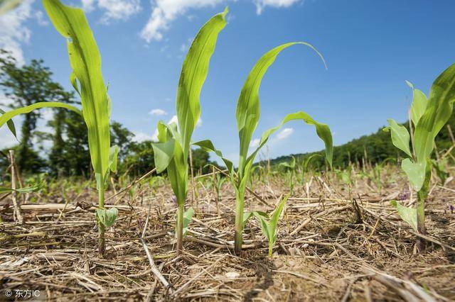 威海银行成功发行60亿元绿色金融及小微企业债券