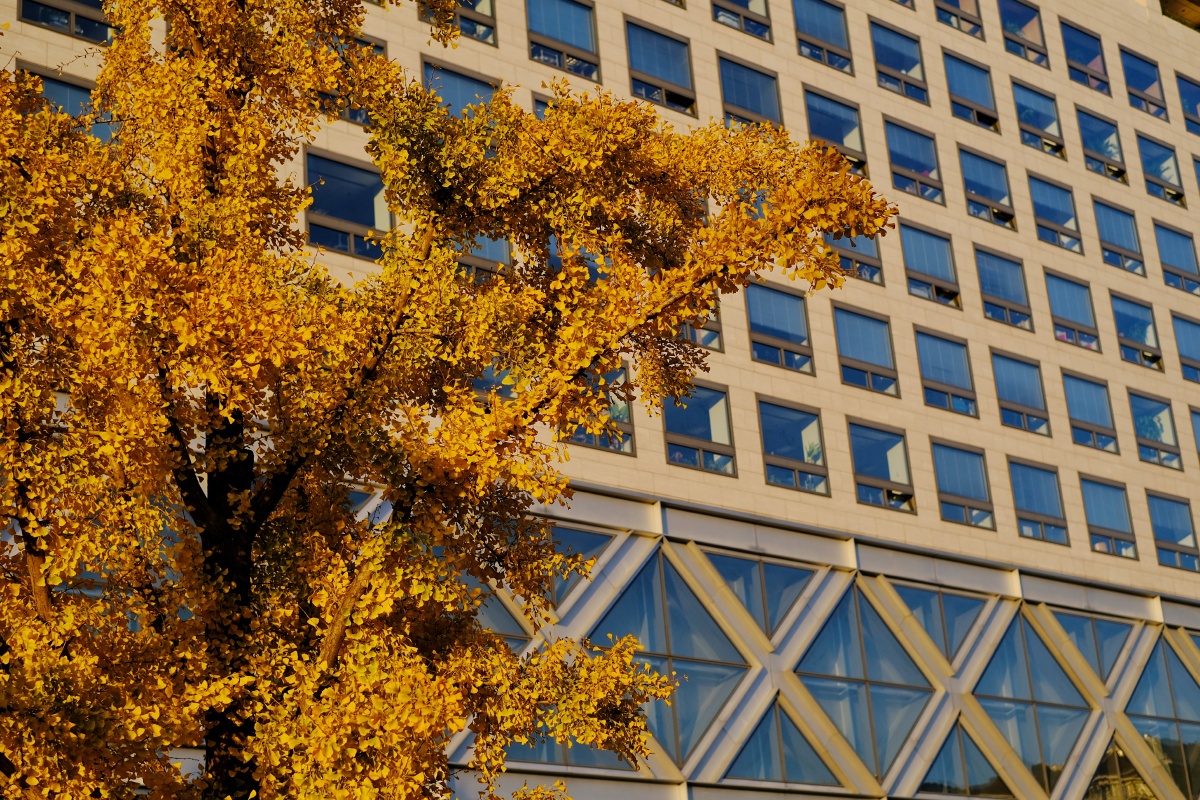 北京启动“清朗京华·清源正声”专项行动 重点整治四类违规开展互联网新闻信息服务活动乱象