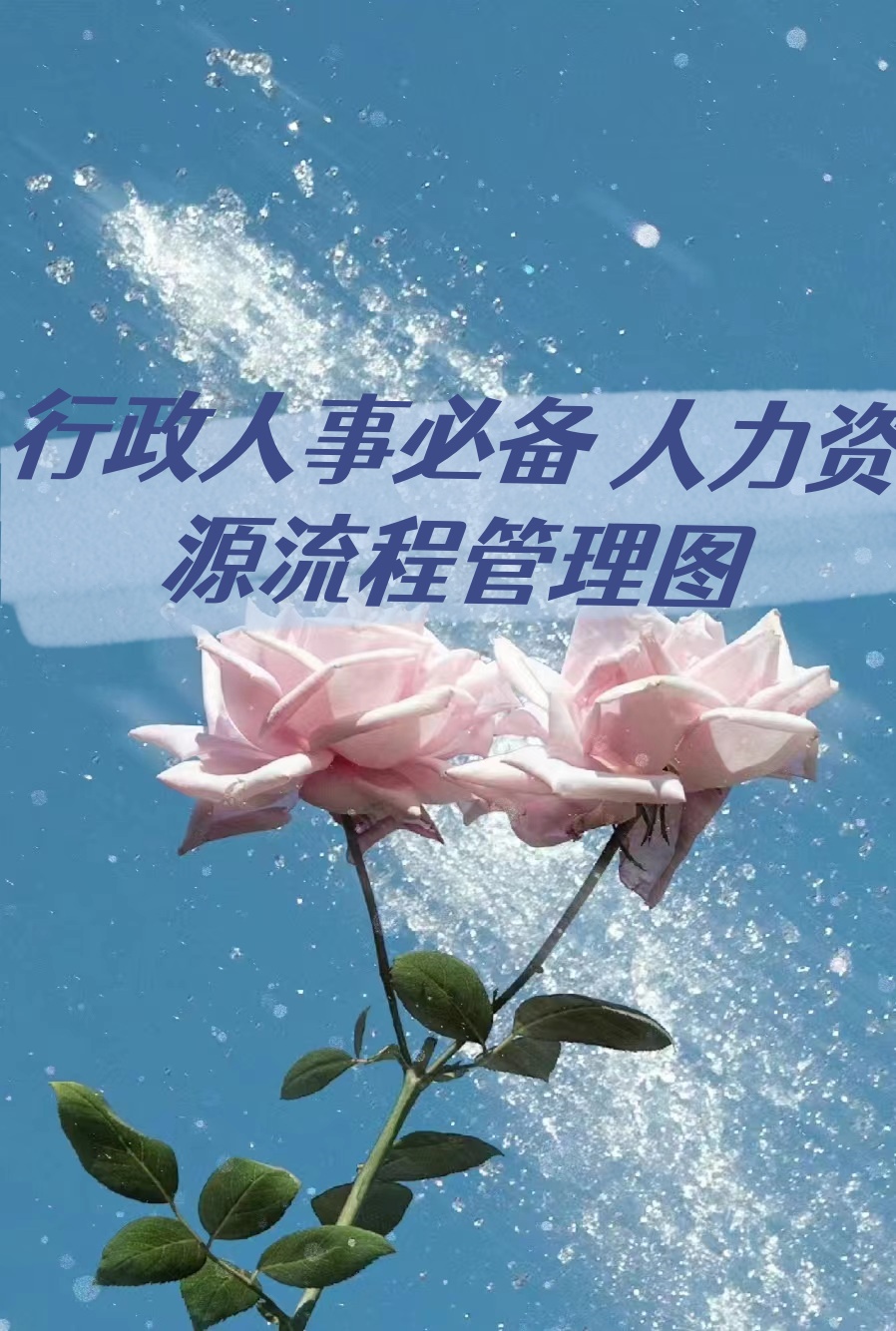 优化人力资源配置 五部门联合规范网络招聘秩序