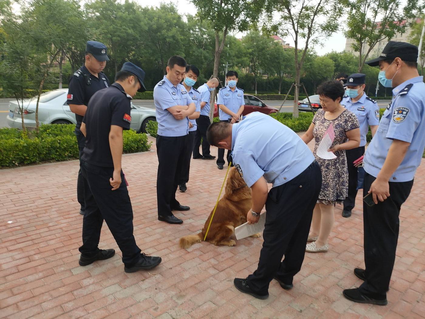 两网红偷逃税再被 “亮剑” 系统施治护航平台经济健康发展