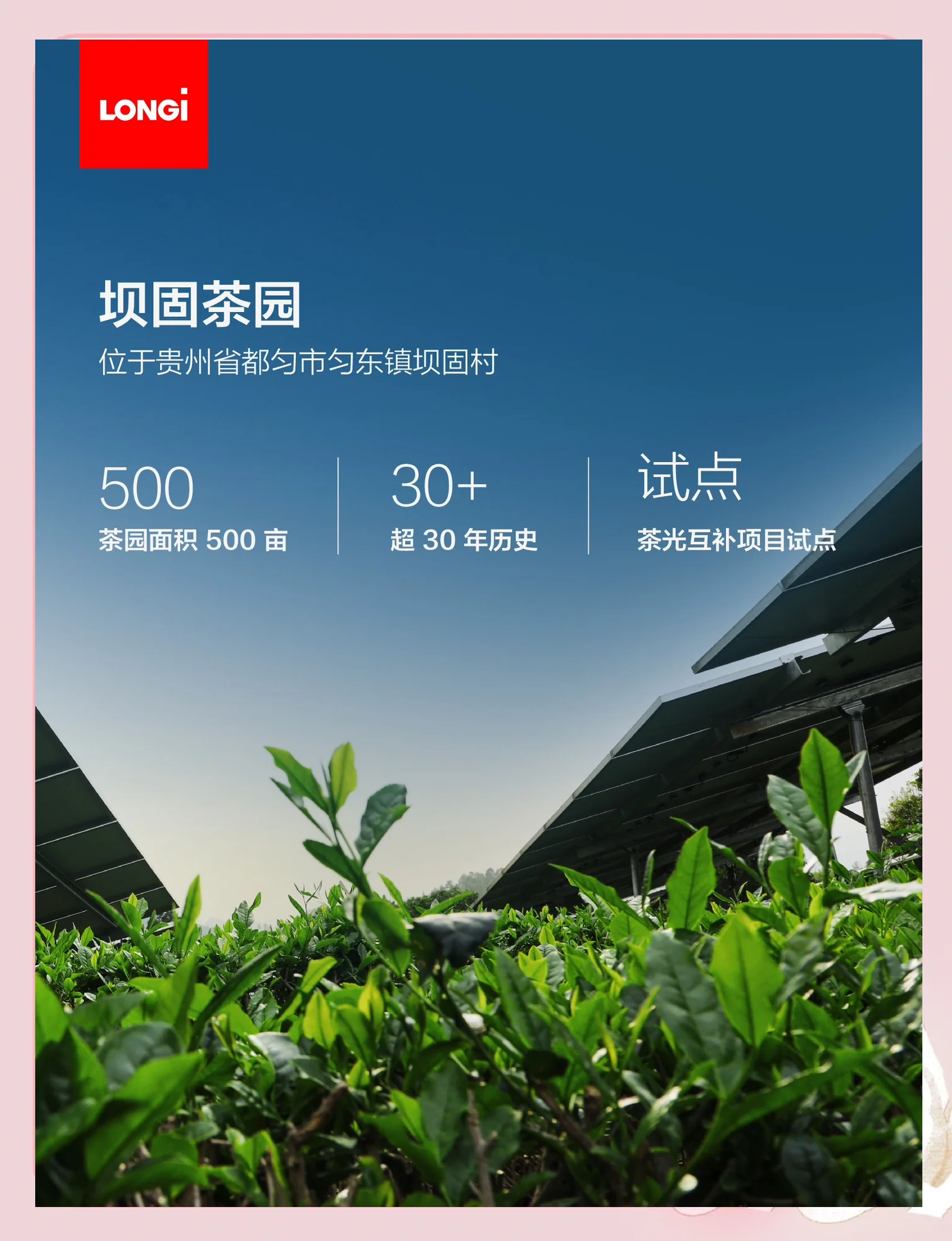 贵州:围绕新型综合能源、先进装备制造、航空航天(含低空经济)等产业,建设一批市域产教联合体