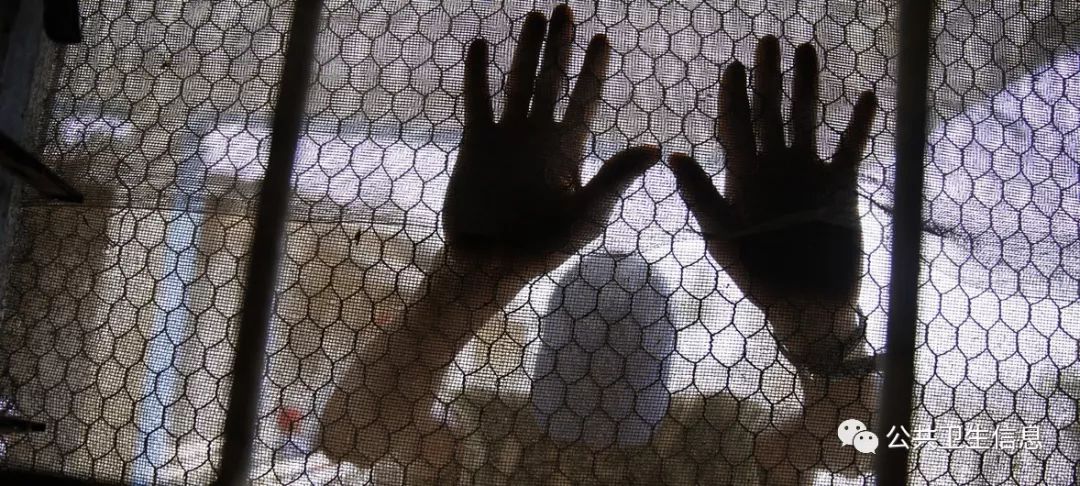 世卫组织呼吁利比里亚加大力度消除被忽视的热带病