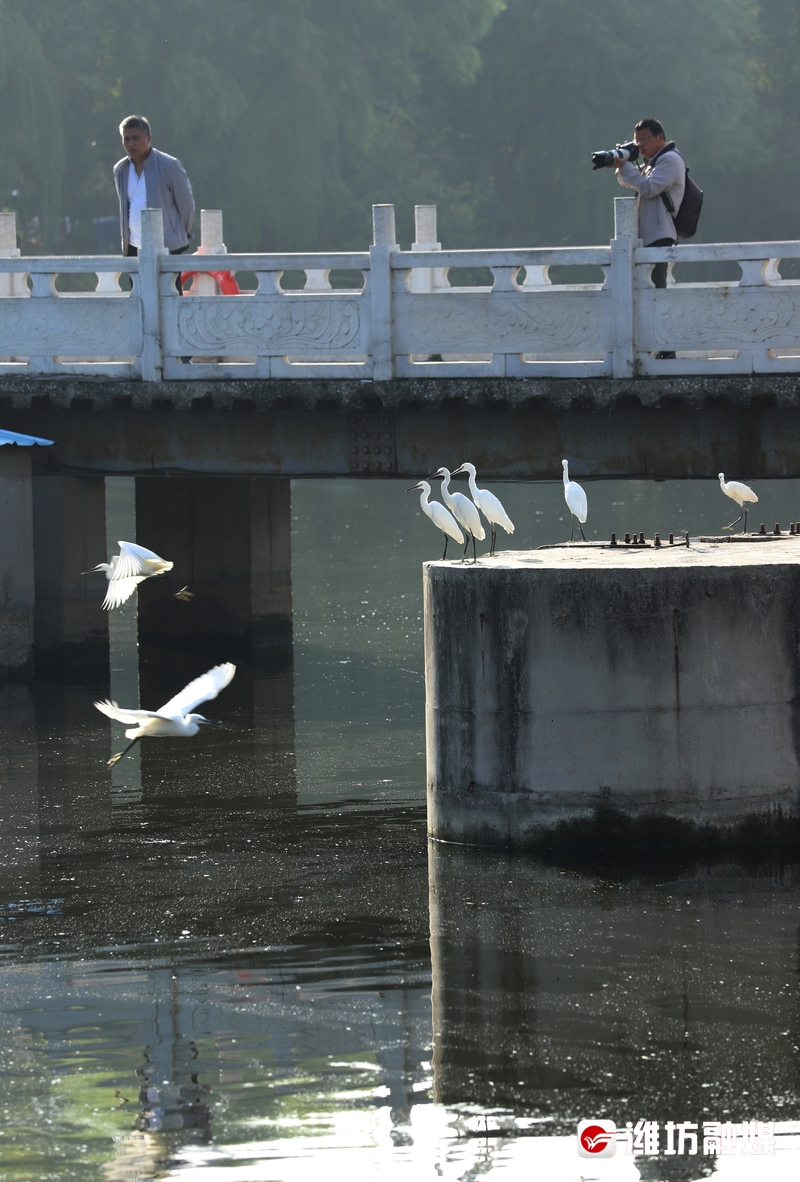 立方风控鸟·晚报（2月24日）