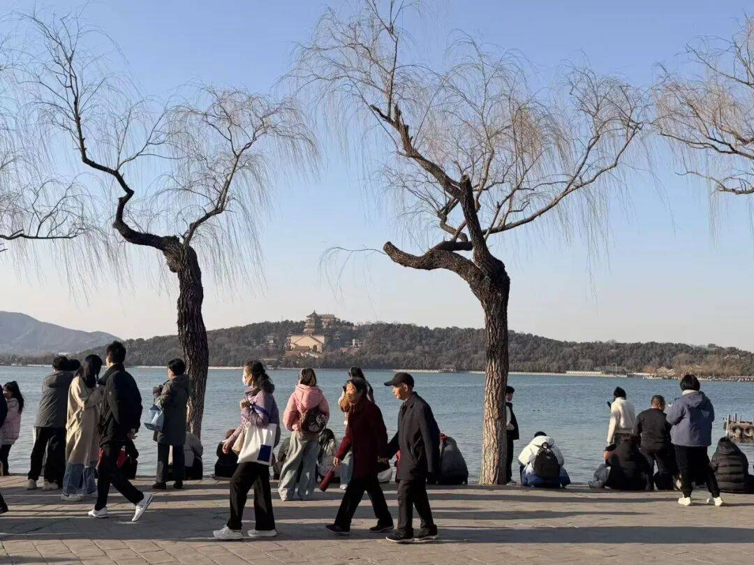 2026年春节出游人次、消费金额创历史新高