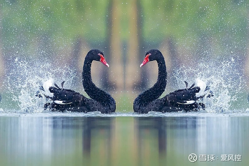 立方风控鸟·晚报(3月5日)