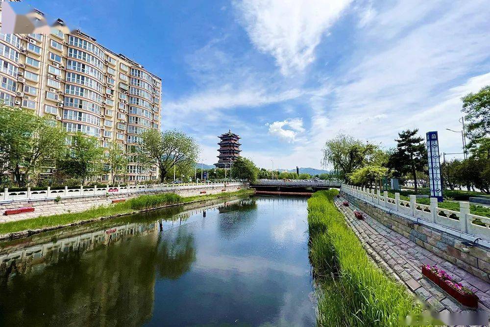 两会新华鲜报｜“接”入未来！脑机接口首入政府工作报告