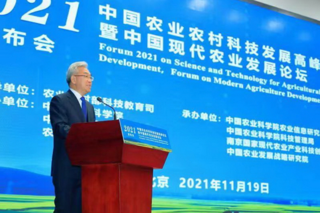 两会｜全国政协委员陈四清：加大金融赋能外贸高质量发展力度