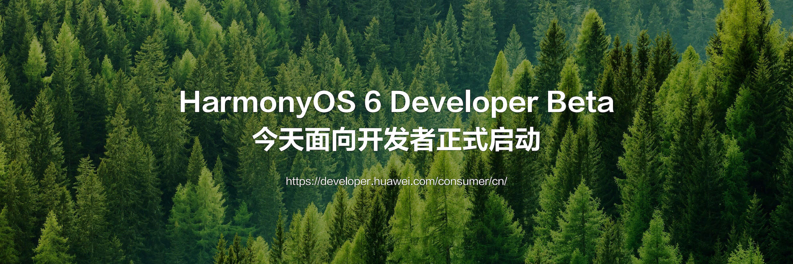 历史领先+AI赋能 恒生科技指数吸引聪明资金加速流入