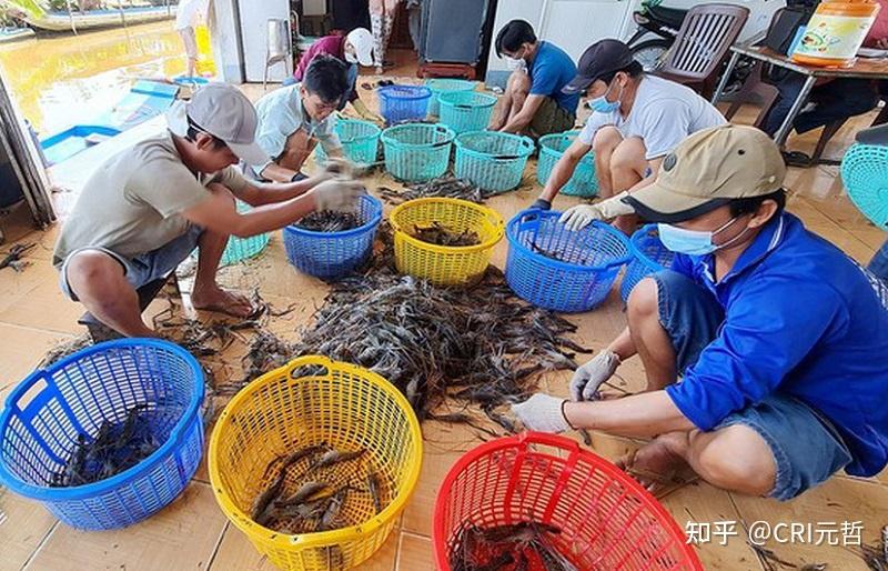 1月份越南农林水产品出口额同比增长近30%