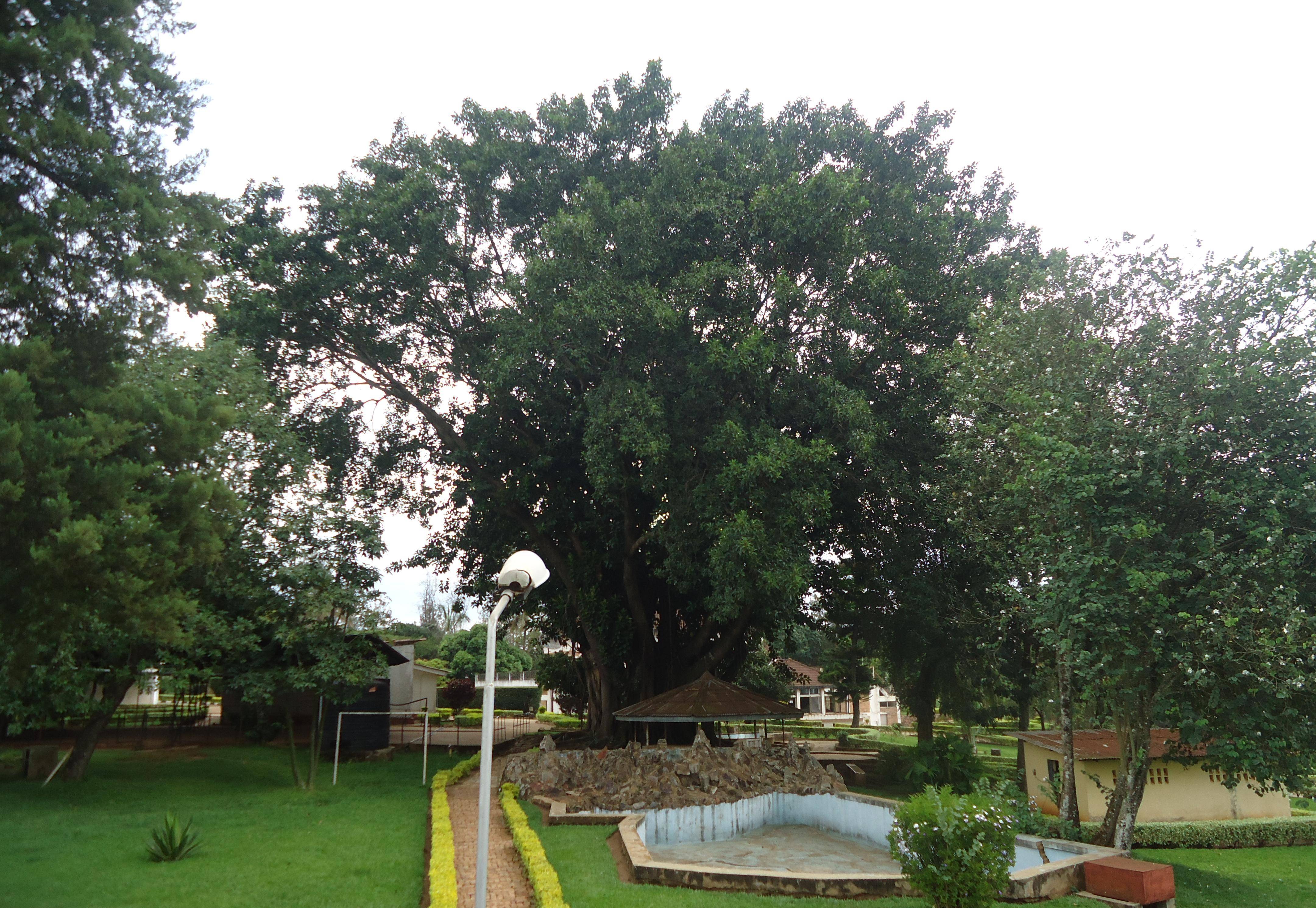 卢旺达清廉指数评分达到历史最高