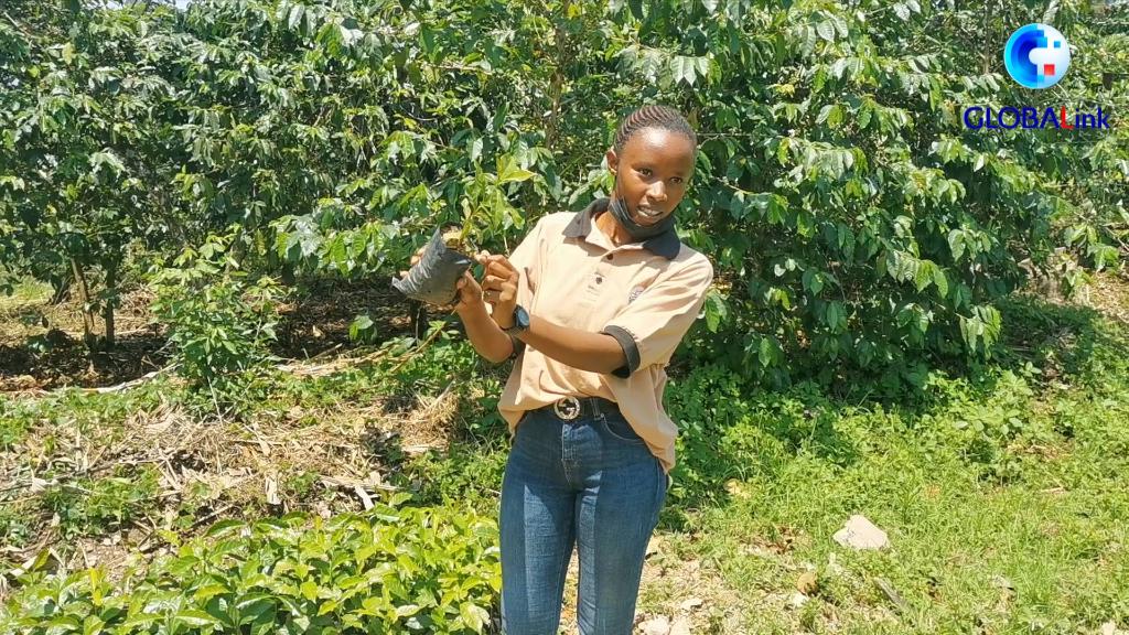 卢旺达清廉指数评分达到历史最高