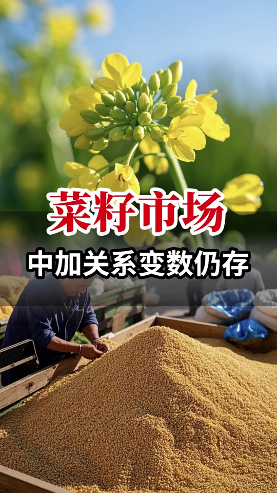 农业农村部：深入推进粮油作物大面积单产提升 推动“菜篮子”产业转型升级
