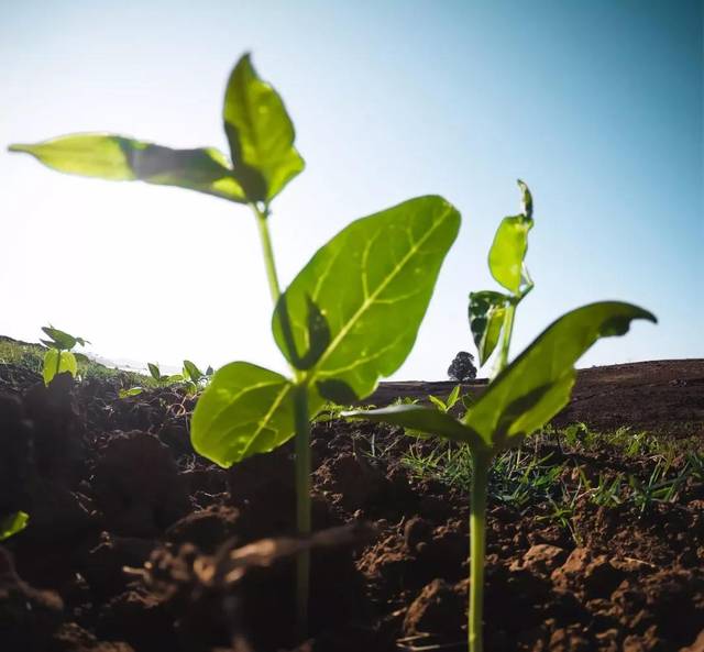 神州信息中标万亿级农信新核心项目